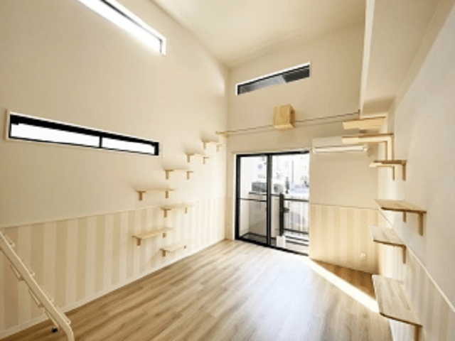 Japan’s new apartments for singles with cats let you live with the only companion you need