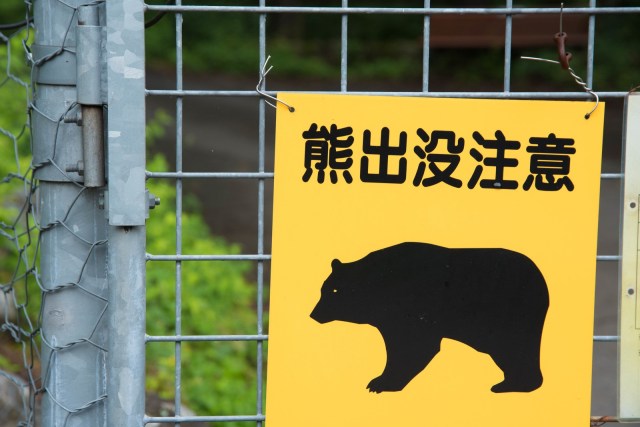 82-year-old woman fights off bear in Japan: “I sent him flying”