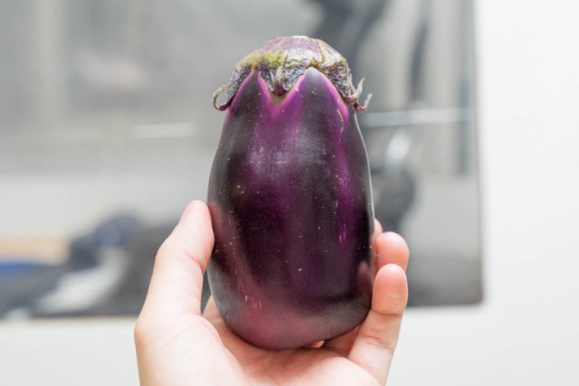 We tried eating a raw “mizu nasu” eggplant, and it tastes like a weird fruit【Taste Test】