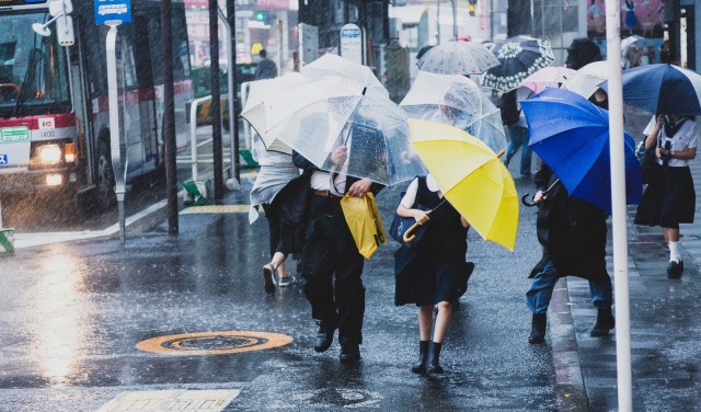 Back to the Future II-style weather forecasts developed by Japanese universities