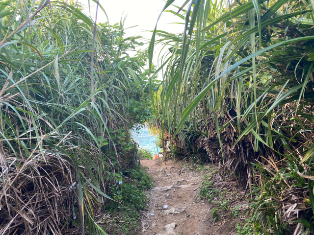 We travel to a mysterious power spot in Okinawa, where a “heart rock” floats in the sea