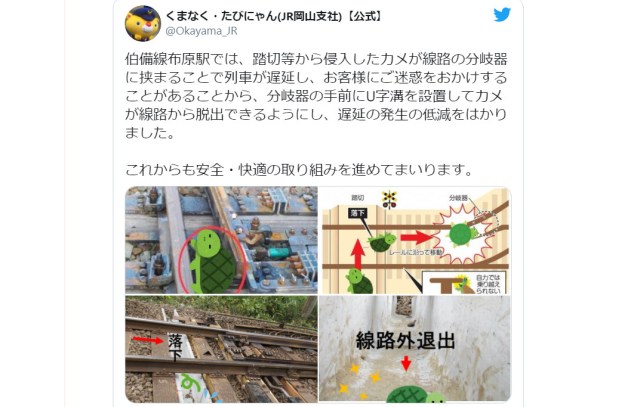 JR West comes up with brilliant plan to save turtles and prevent train delays, touches netizens