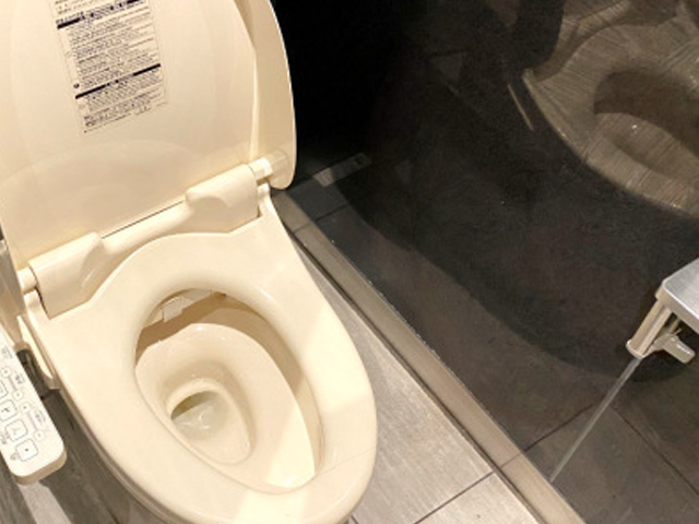 Japanese comedian apologizes for his many “multipurpose toilet affairs”