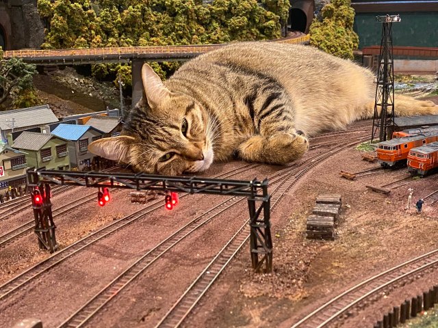 Giant cats taking naps on train tracks — only in Japan