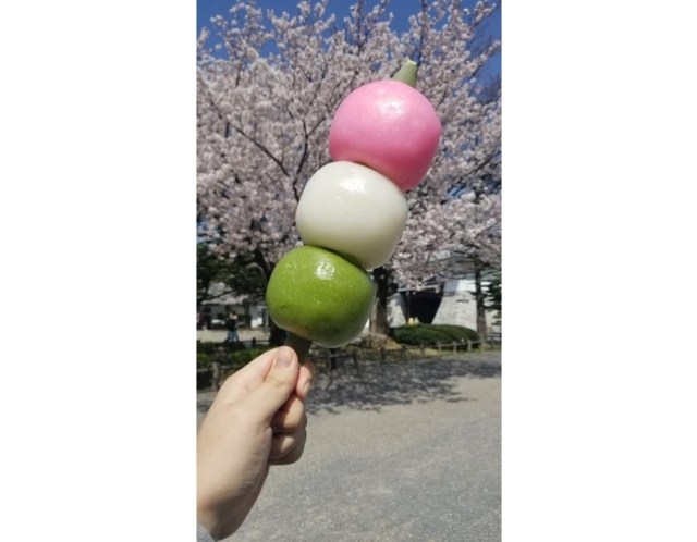 Japanese netizen goes ham for hanami with supersized dango and we live for it【Photos】