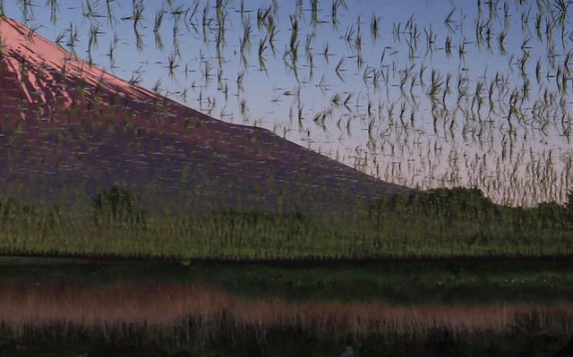 Beautiful Mt Fuji photo looks like a buggy video game scene