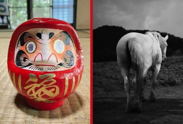 Japan’s daruma dolls seem to be causing problems for horses at the Tokyo Olympics