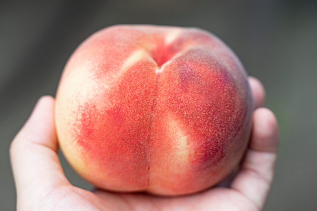 Fukushima peaches: Worthy of the praise given to them by foreign Olympics teams?