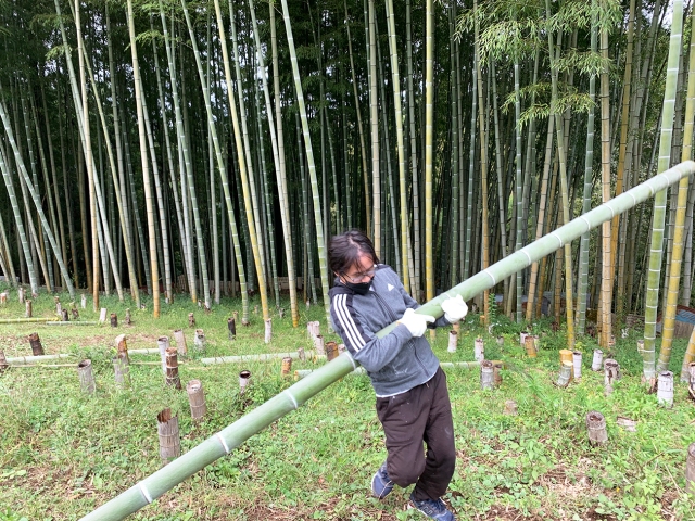 Preparing for the Soraniwa Music Festival in the mountains of Kanagawa