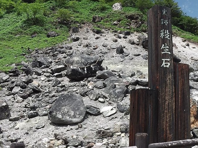 Eight boars drop dead around Japan’s Killing Stone【Video】