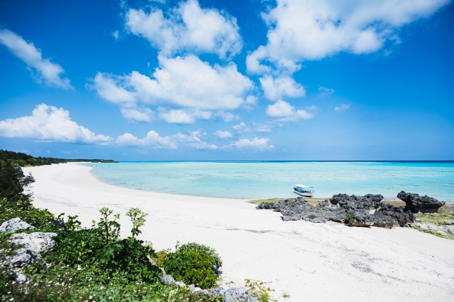 Eating tuna and parrotfish like the locals on the Amami Islands’ Yoron Island