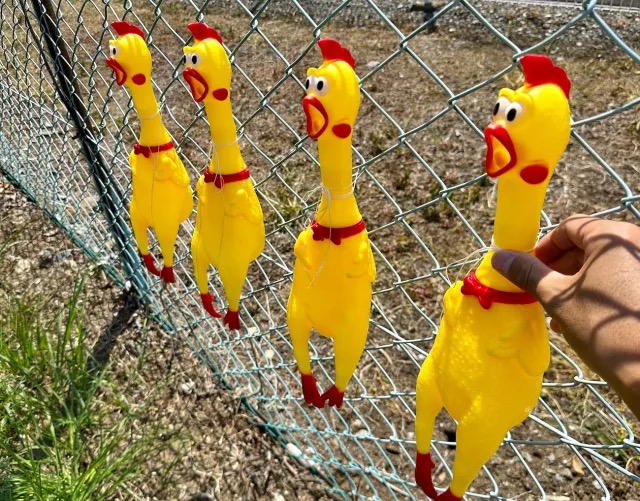 We try the viral screaming rubber chicken car park hack in Japan