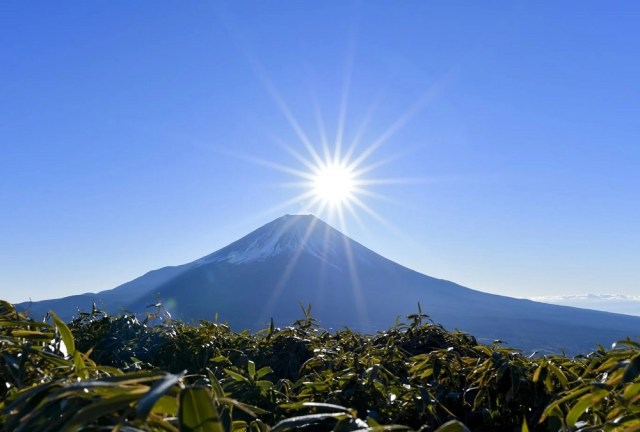 Japan’s foreign population reaches historic milestone following largest-ever single-year surge