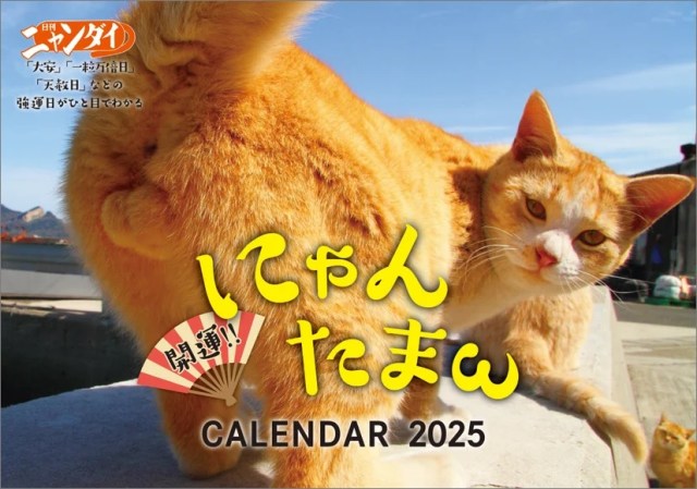 Japan’s cat testicle calendar is here for nyantama fans to go nuts with