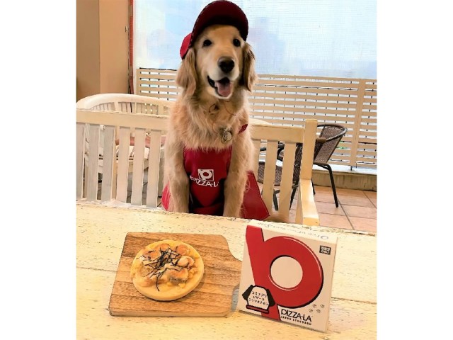 Japanese pizza chain starts nationwide delivery of for-dogs pizzas