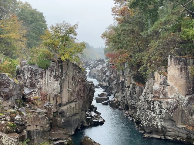 Flying dango: Unique tourist site where Japanese sweets are flown to you over a gorge