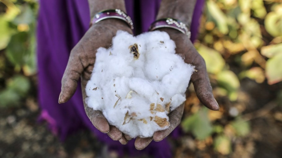 Cotton in India