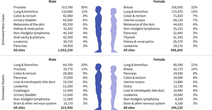 "美 50세 미만 여성, 남성보다 암 진단 가능성 82% 더 높아"