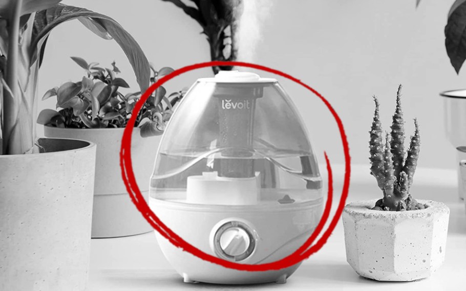 This image shows the Levoit Humidifier on sale