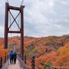 【0475】紅葉ハイキング の巻の画像