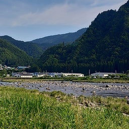 画像 6月1日（長良川、郡上） の記事より 12つ目