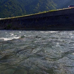 画像 6月1日（長良川、郡上） の記事より 8つ目