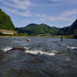 画像 6月1日（長良川、郡上） の記事より 9つ目