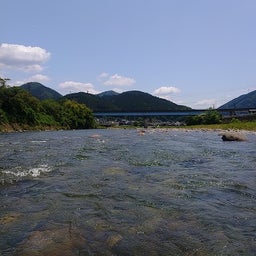 画像 6月７，８，９日鮎釣り（長良川郡上） の記事より 4つ目