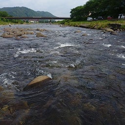 画像 6月７，８，９日鮎釣り（長良川郡上） の記事より 11つ目