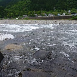 画像 6月７，８，９日鮎釣り（長良川郡上） の記事より 13つ目