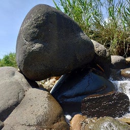 画像 6月７，８，９日鮎釣り（長良川郡上） の記事より 9つ目