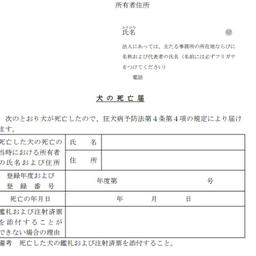 画像 近況報告 の記事より 1つ目