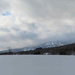 画像 大雪のひるがのから雪のない滋賀に帰宅！ の記事より 4つ目