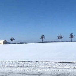 画像 【北海道】雪が深々と降っています。 の記事より 3つ目