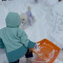 画像 雪遊び〜 の記事より 2つ目