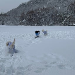 画像 雪遊び〜 の記事より 8つ目