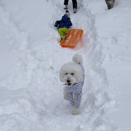 画像 雪遊び〜 の記事より 3つ目