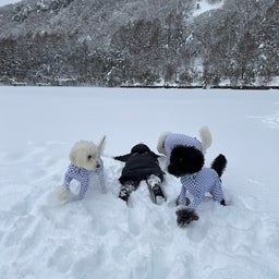 画像 雪遊び〜 の記事より 10つ目