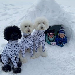 画像 雪遊び〜 の記事より 11つ目