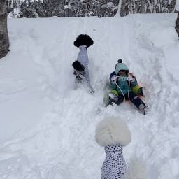 画像 雪遊び〜 の記事より 5つ目