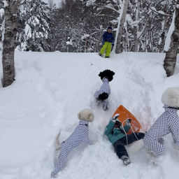 画像 雪遊び〜 の記事より 4つ目