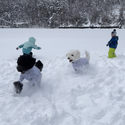 画像 雪遊び〜 の記事より 7つ目