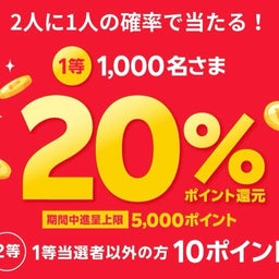 画像 楽天ペイのチャージ払いで20%還元か10ptが当たるかも の記事より 2つ目