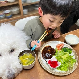 画像 アチー！でもうまーなむーむ の記事より 4つ目