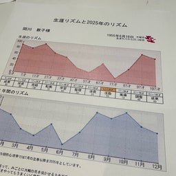 画像 2025年今年は、動きます の記事より 1つ目