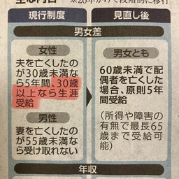 画像 遺族年金 の記事より