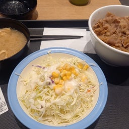 画像 たそがれ川柳1546ー松屋の490円牛丼セットー の記事より 2つ目