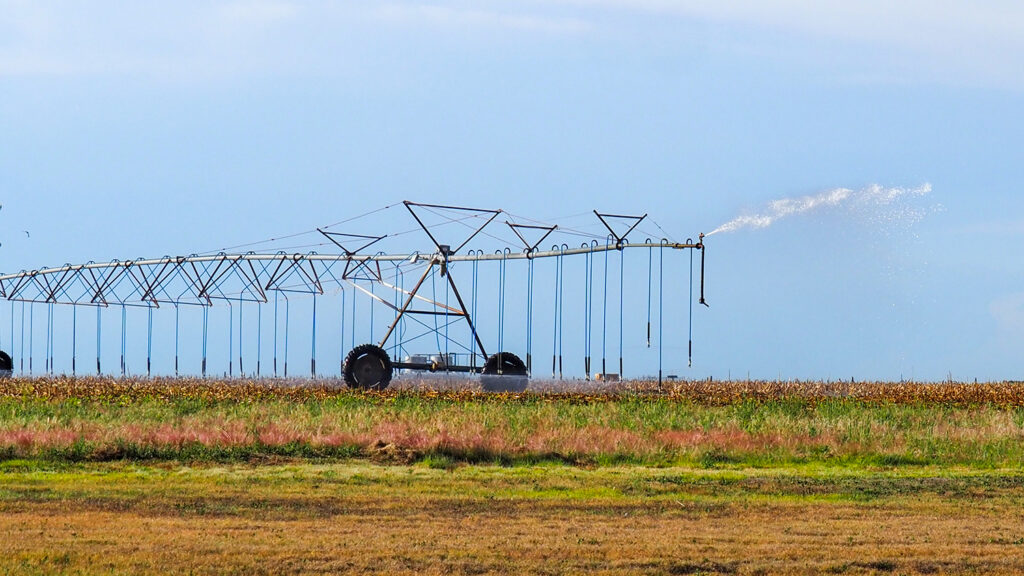 Sprinklers irrigate a Kansas field.