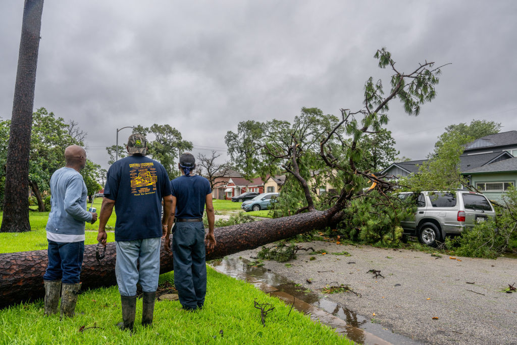 Houston residents look at a fallen tree after a hurricane hit their Houston neighborhood.