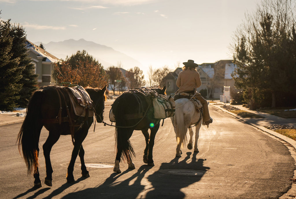 A man leads three horses down a city street.